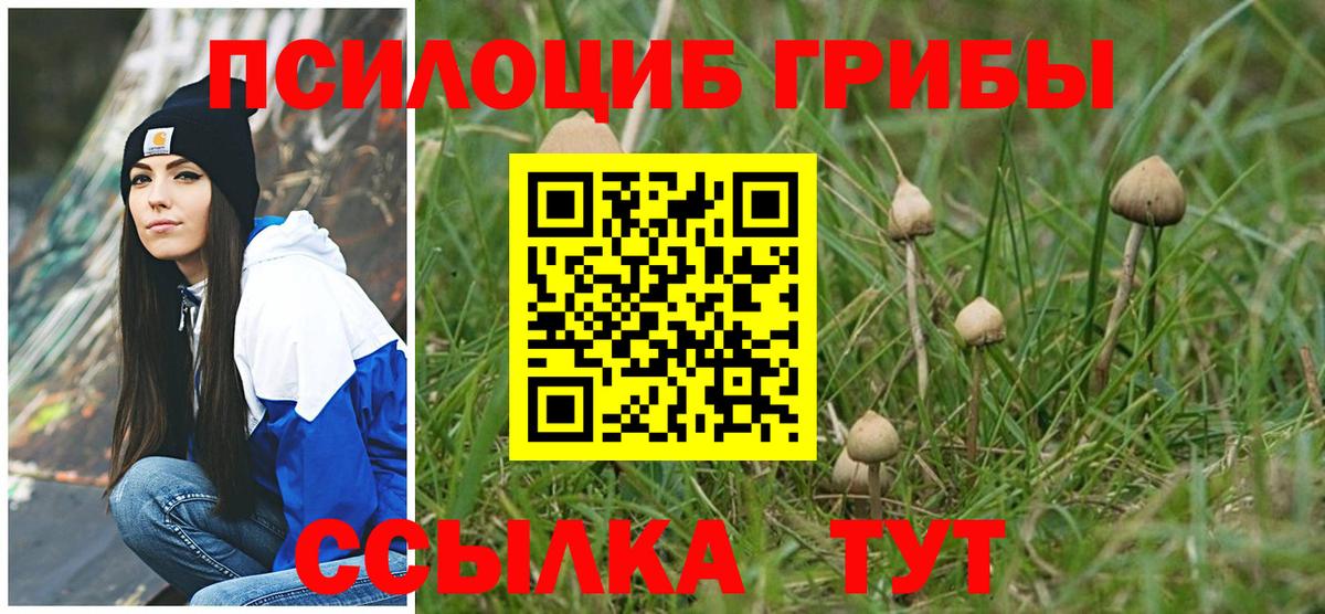 Псилоцибиновые грибы мицелий  Вход с VPN  цены   Обнинск 